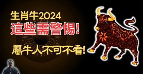 屬牛運勢|【屬牛2024生肖運勢】破太歲危機四處，慎防誤墜騙。